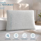 ALMOHADA VISCOELASTICA GEL 60X40
